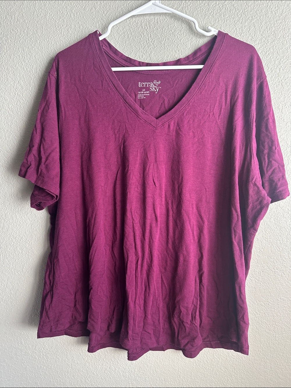 Terra & Sky V-Neck Short Sleeve Tee in Berry Plum